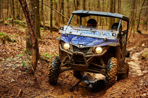 Yamaha Wolverine