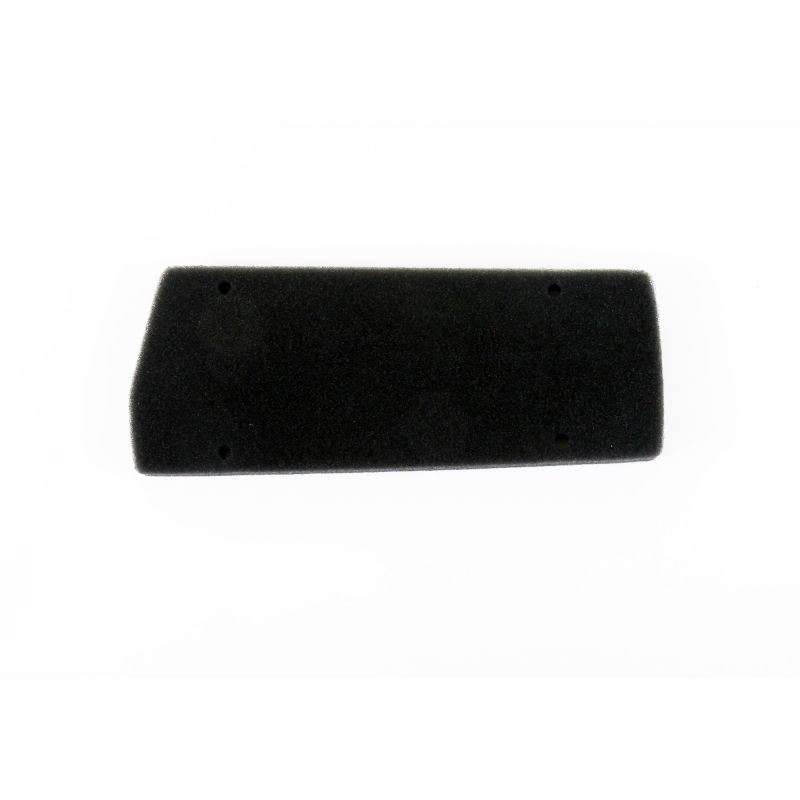 Athena B Athena 93-05 Aprilia 50 Air Filter (S410010200001)