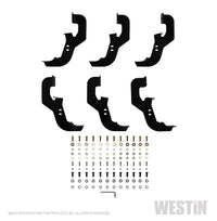 Westin 2019 Chevrolet Silverado/Sierra 1500 Crew Cab Non LD PRO TRAXX 5 Oval Nerf Step Bars - SS - 21-54130