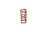 COMP Cams Valve Spring Ford 4.6L 2 Valve - 26113-1
