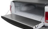Access Tailgate Protector 08+ Ford Super Duty 250 / 350 / 450 (All Beds w/o Tailgate Step) - 27010339
