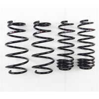 RS-R 09-13 Honda Fit (GE8) Down Sus Springs - H272D
