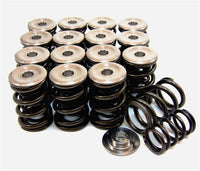 GSC P-D Honda B-Series Vtec Dual Spring Set and Titanium Retainer - 5049