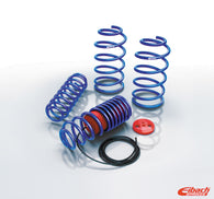 Eibach Drag Launch Kit for 79-98 Ford Mustang Cobra Coupe / 79-04 Couple / 03-04 Mach 1 Coupe - 9310.140