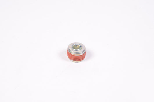 Radium Engineering 3/8in NPT Plug - 14-0173