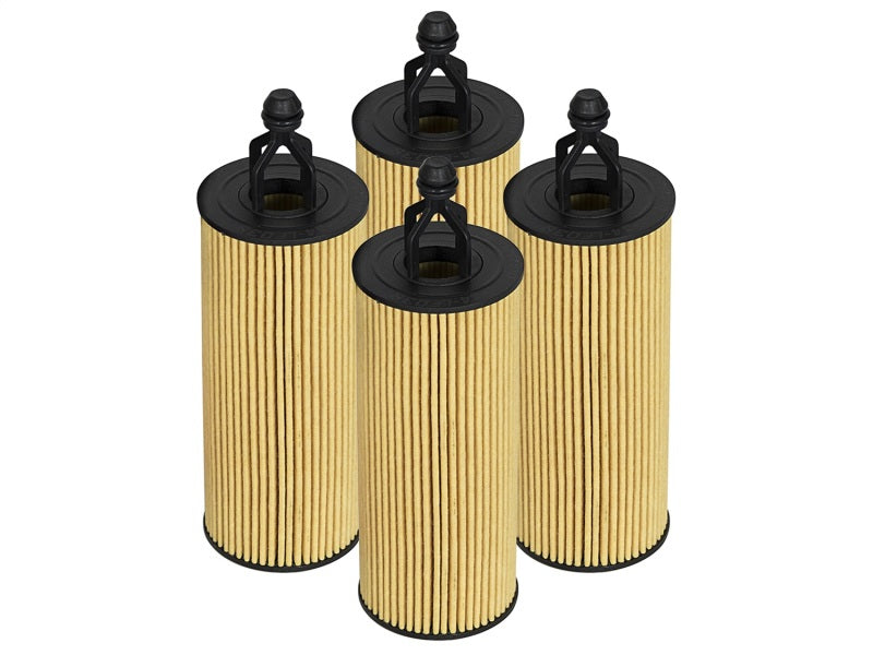 aFe Pro GUARD HD Oil Filter 2018+ Jeep Wrangler (JL) V6 3.6L (4 Pack) - 44-LF039-MB