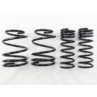 RS-R 13+ Subaru Impreza (GP7) Down Sus Springs - F500W