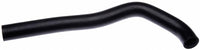 Gates 98-02 Dodge Diesel Molded Upper Coolant Radiator Hose - 22645