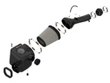 aFe Momentum GT Pro DRY S Cold Air Intake System 05-11 Toyota Tacoma V6 4.0L - 51-76004