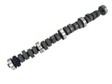 COMP Cams Camshaft FB XE256H-10 - 33-234-4