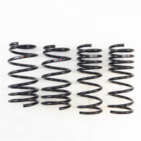 RS-R 13+ Scion FR-S (ZN6) Super Down Springs - T065S