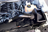 K&N 11-14 Ford F150 5.0L V8 Black Performance Intake Kit - 71-2581