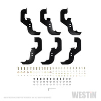 Westin 2019 Chevrolet Silverado/Sierra 1500 Crew Cab Non LD PRO TRAXX 4 Oval Nerf Step Bars - SS - 21-24130