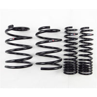 RS-R 08+ Mitsubishi Evolution X (CZ4A) Down Sus Springs - B250D