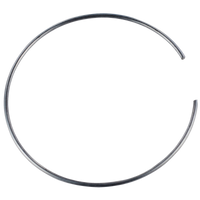 BBS PFS Retaining Clip - 82mm - x0923415