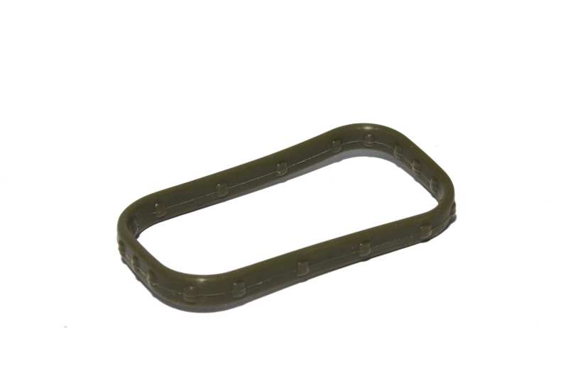 FAST Replacement Intake Port Seal - 146003-1