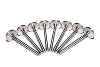 COMP Cams Ss Valves SBC Exh 1.600in 11/3 - 6011-8