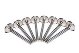COMP Cams Ss Valves SBC Exh 1.500in 11/3 - 6016-8