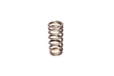 COMP Cams Valve Spring Ford 4.6L 2 Valve - 26113-1