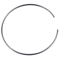 BBS PFS Retaining Clip - 70mm - x0923409