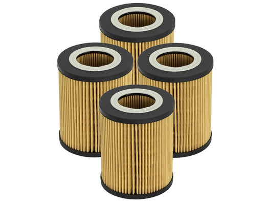 aFe Pro GUARD D2 Oil Filter 96-06 BMW Gas Cars L6 (4 Pack) - 44-LF022-MB