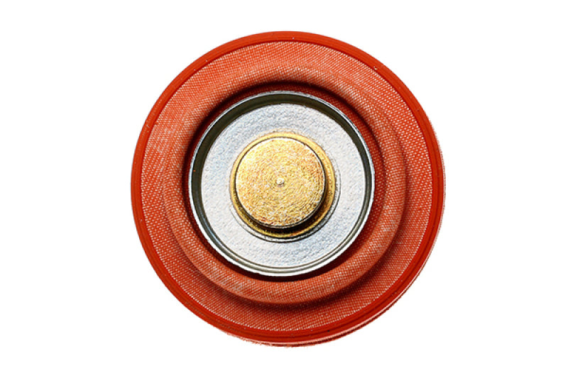Radium Engineering Diaphragm Service Replacement FPR - 18-0017