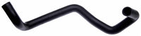 Gates 79-93 Ford Mustang Molded Lower Radiator Hose - 21298