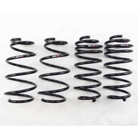 RS-R 11+ Toyota Prius C (NHP10) Down Sus Springs - T105D