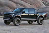 Fabtech 17-19 Ford Raptor 4in System - K2263