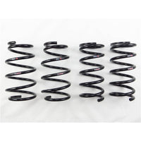 RS-R 10+ Toyota Sienna AWD (GSL35) Ti2000 Down Springs - T551TW