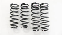 RS-R 01-06 Lexus LS430 (UCF30/31) Super Down Springs - T284S