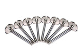 COMP Cams Ss Valves SBC Exh 1.600in 11/3 - 6002-8