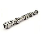 COMP Cams Camshaft Gm Gen V Lt1 Ltav 27 - 624-536-13