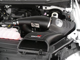 aFe Momentum GT Pro DRY S Intake System 2016 Ford F-150 EcoBoost V6-2.7L/3.5L (tt) - 51-73112-1