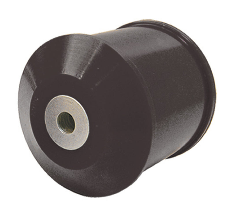Prothane 02-06 Nissan Sentra SE-R Rear Motor Mount Insert - Black - 14-505-BL