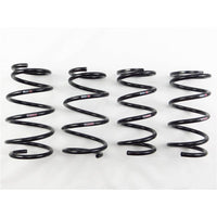 RS-R 10+ Toyota Sienna FF (GSL30) Ti2000 Down Springs - T550TW