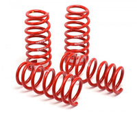 H&R 95-98 BMW 318ti E36 Compact Race Spring - 29593
