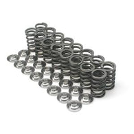 Brian Crower Honda/Acura K20A/K20Z F20C/F22C-High Mileage Dual Spring & Steel Alloy REtainer Kit - N - BC0040SX
