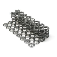 Brian Crower Scion tC 2AZFE Single Valve Spring & Ti Retainer Kit - BC0340
